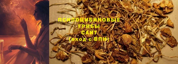 винт Абаза
