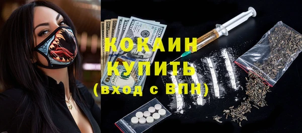 винт Абаза