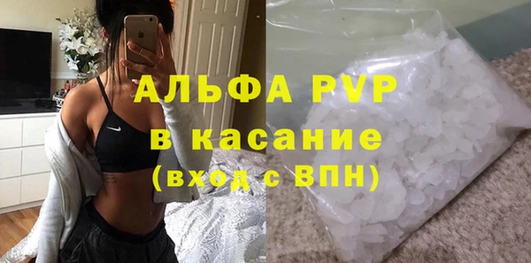 ECSTASY Михайлов